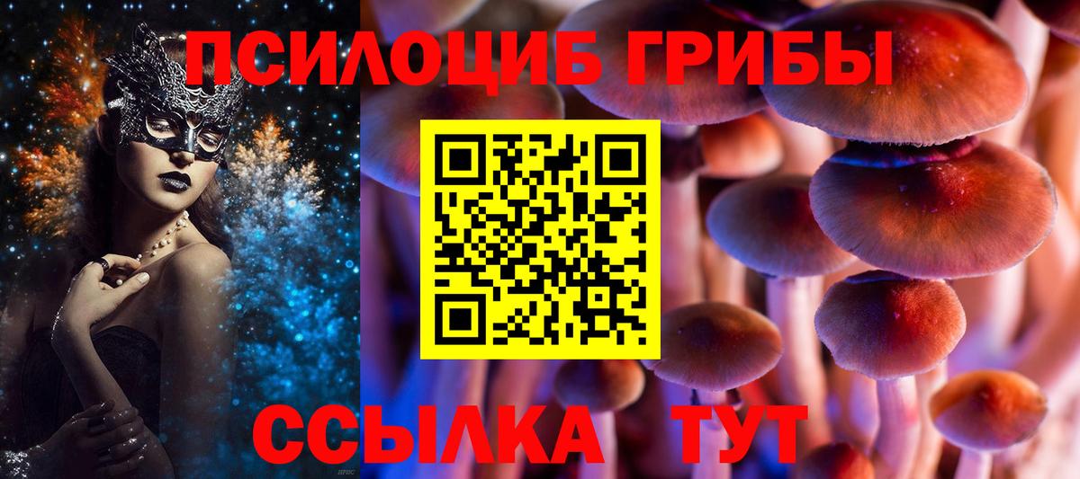 Красный Сулин  Псилоцибиновые грибы прущие грибы  Вход с VPN 