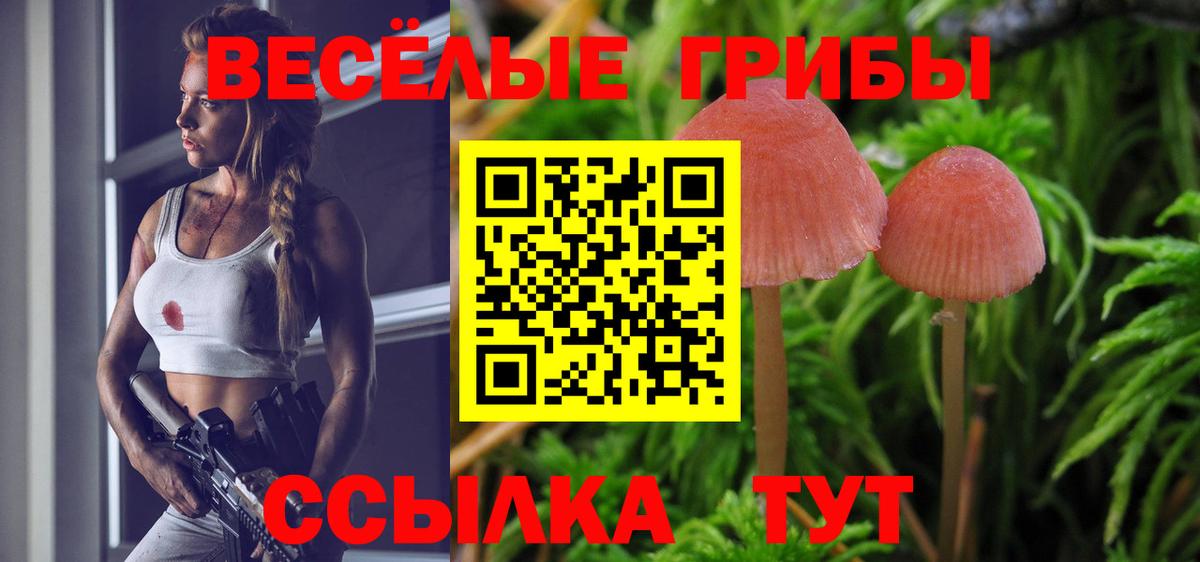Галлюциногенные грибы ЛСД Красный Сулин